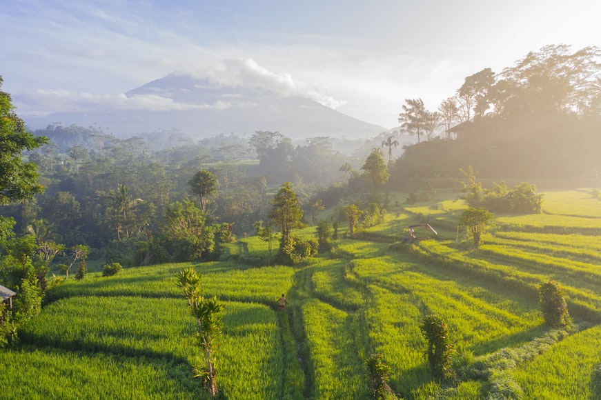Indonesian countryside|