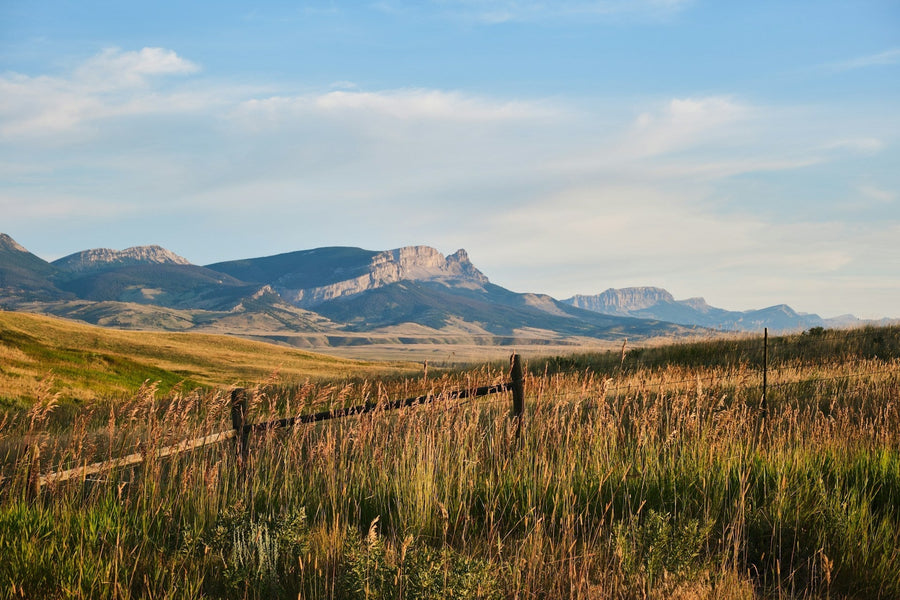 Montana mountainscape|