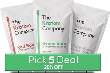 Our Pick 5 Bundle Deal